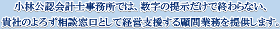 小林公認会計士事務所では、数字の提示だけで終わらない、貴社のよろず相談窓口として経営支援する顧問業務を提供します。