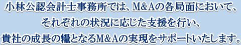 小林公認会計事務所では、M&Aの各局面において、それぞれの状況に応じた支援を行い、貴社の成長の糧となるM&Aの実現をサポートいたします。